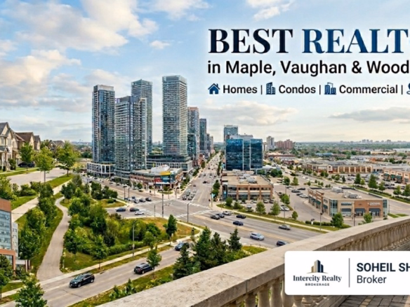 Best Realtor Vaughan Maple - Soheil Shivarani